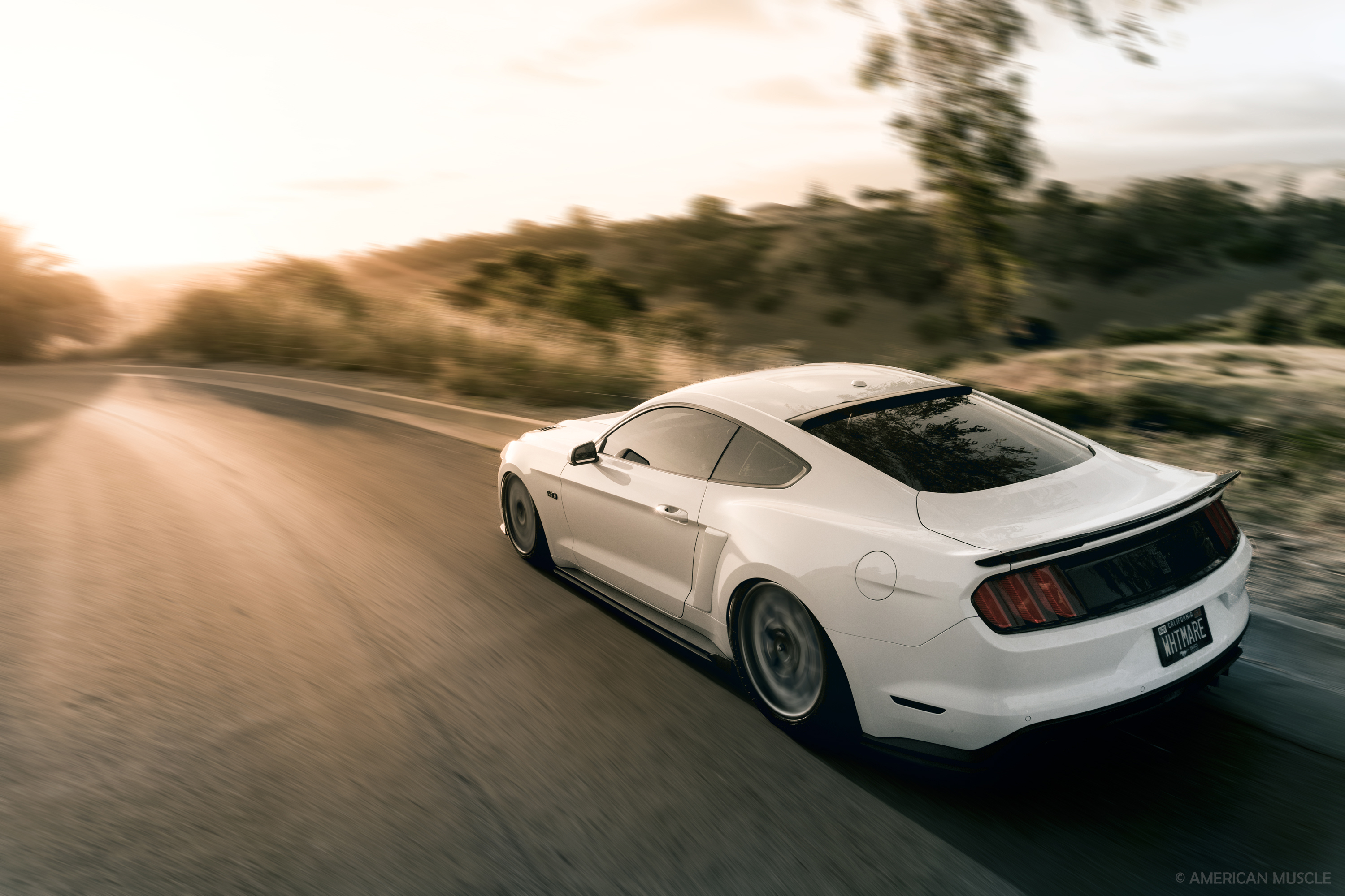 Photographer: Unlisted, Retoucher: Christopher String &copy; AmericanMuscle