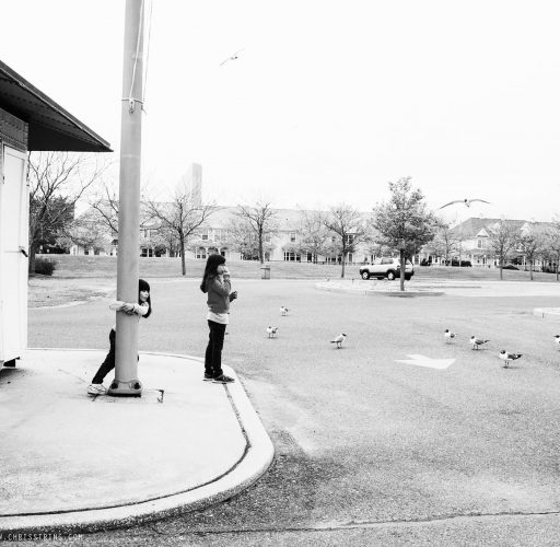 Snapshot: Feeding the birds