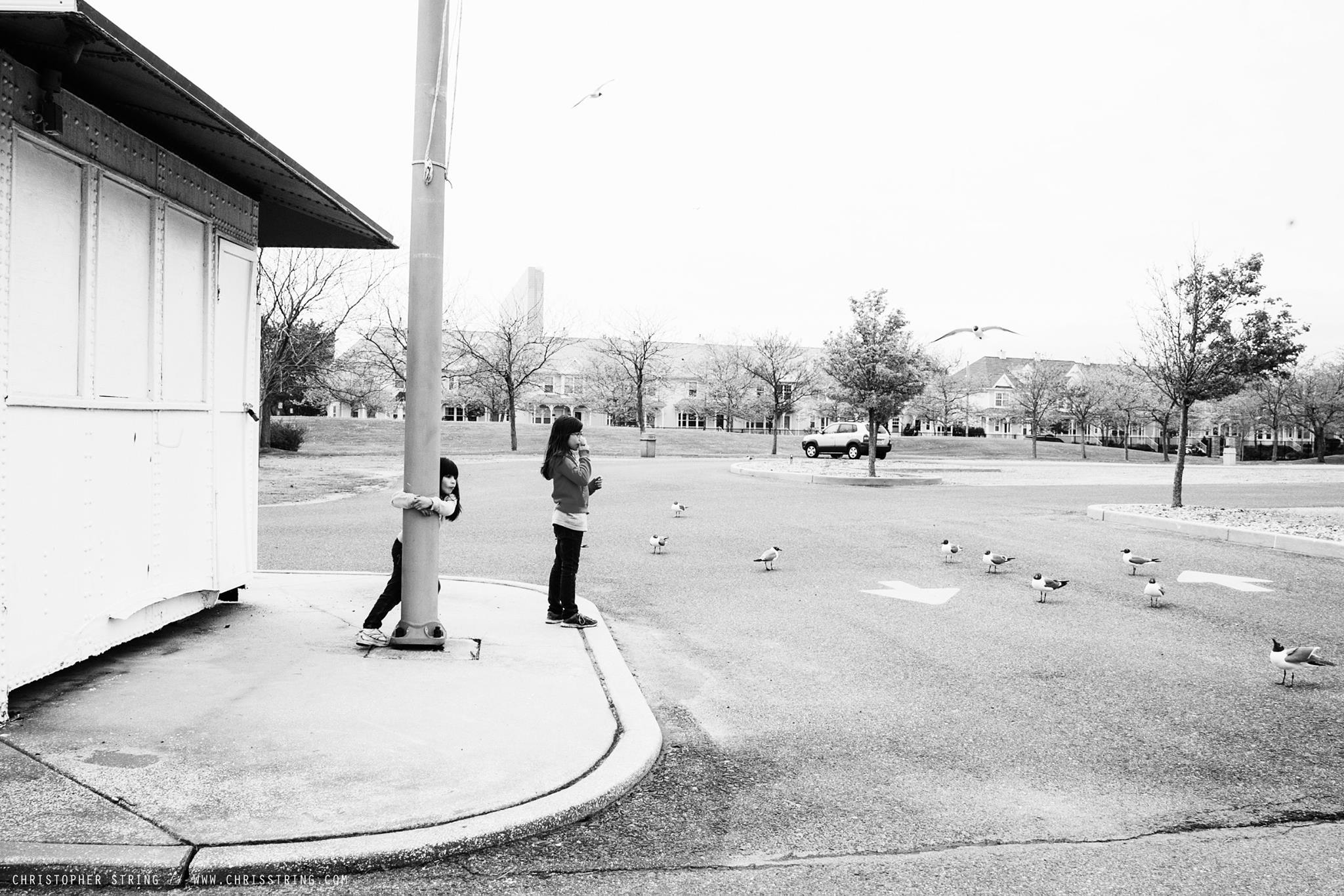 Snapshot: Feeding the birds